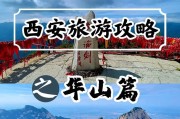 华山技能加点攻略（解析华山技能加点，助你成为绝世高手）