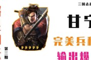 仙国志武将技能搭配攻略（解析仙国志武将技能组合，提升战斗实力）