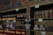 解锁郎威秘密资料的游戏攻略（以孙美琪疑案为例，玩转线索获取方法）