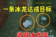 冰火传说冰龙技能攻略（掌握冰龙技能，统领冰火大陆！）