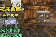 被感染者游戏游攻略（保护自己，幸存于被感染者游戏之中）