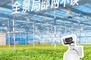江南百景图龙头节，游戏狂欢之旅（玩转江南百景图，激情龙头节游戏攻略）