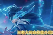 王者英雄攻略技能大全—成为无敌王者的关键！（掌握技能，统治全场！玩转王者，称霸战场的秘诀揭秘！）