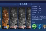 《灵鲲法宝技能选择攻略》（灵鲲法宝技能选择的关键点和策略）