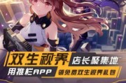 双生视界（游戏中的技巧和策略）