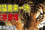 逃脱游戏攻略（一场孤独与生存的挑战）