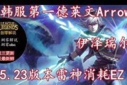 《韩服肉装男枪出装攻略视频分享》（详解男枪的出装策略，助你在韩服王者峡谷称霸一方）