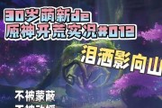 《原神神樱大袯任务攻略》（掌握关键技巧轻松完成任务）