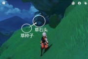 原神：追寻宝箱的秘密！——穿越烟帷与暗林宝箱攻略
