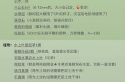 鱼缸乐园（玩转旧鱼缸，打造梦幻水族乐园）