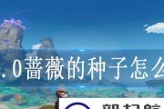 《原神》游戏薄荷豆汤食谱获得方法（掌握游戏技巧，轻松拥有美味薄荷豆汤）