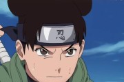 《以忍战天天技能详解攻略》（强力技能搭配，让你成为无敌忍者！）
