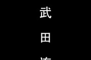 武田三排技能选择攻略（解析武田三排技能搭配，助你制霸战场）
