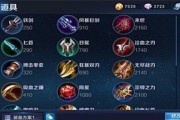 王者攻略（新手必看！轻松掌握妲己出装攻略，提升战力）