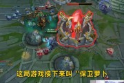 如何给家狮子狗选择适合的出装攻略（为您的家狮子狗打造最佳装备方案，让它变身无敌霸主）