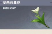 原神万一叶攻略（探索未知世界，成就真正的英雄——万一叶）