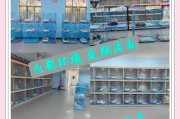 宠物基地游戏攻略（掌握技巧，成为宠物大师！）