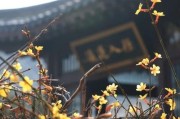 《以苍黑之楔PSP攻略大全》（掌握关键技巧，征服游戏世界）