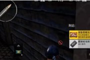 刺激战场极寒模式体温检测详解（如何在极寒模式下检测体温，让你在游戏中更安全）