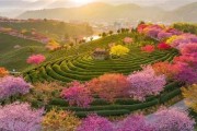 《以影之诗林德沃姆图鉴》卡牌进化全攻略（探究林德沃姆卡牌进化效果属性，让你在游戏中成为强者）