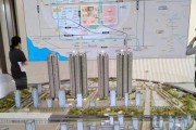 时光凤凰出装攻略（打造完美输出！一文教你玩转时光凤凰出装）