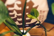 《以时之歌》SR玉茗倜傥技能介绍（玩转SR玉茗，化身倜傥高手！）