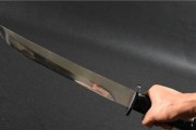 《反斗联盟》短刀评测——属性与实战心得详解