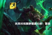 《狐狸职业比赛出装攻略男》（以狐狸为主角，揭秘职业比赛中的最佳出装策略）