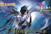 寡妇大乱斗（掌握关键装备，成就独孤求败！）